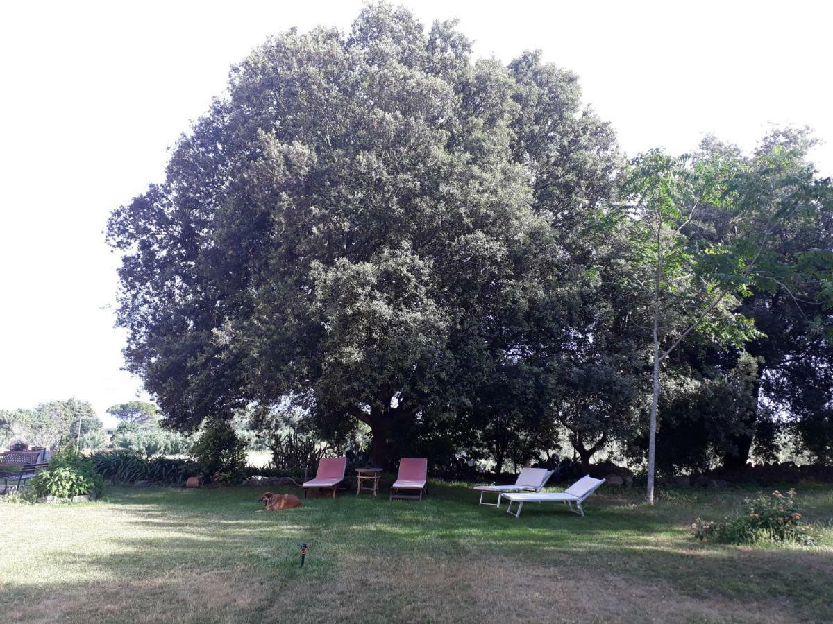 Tenuta Argiano Mesagne Extérieur photo
